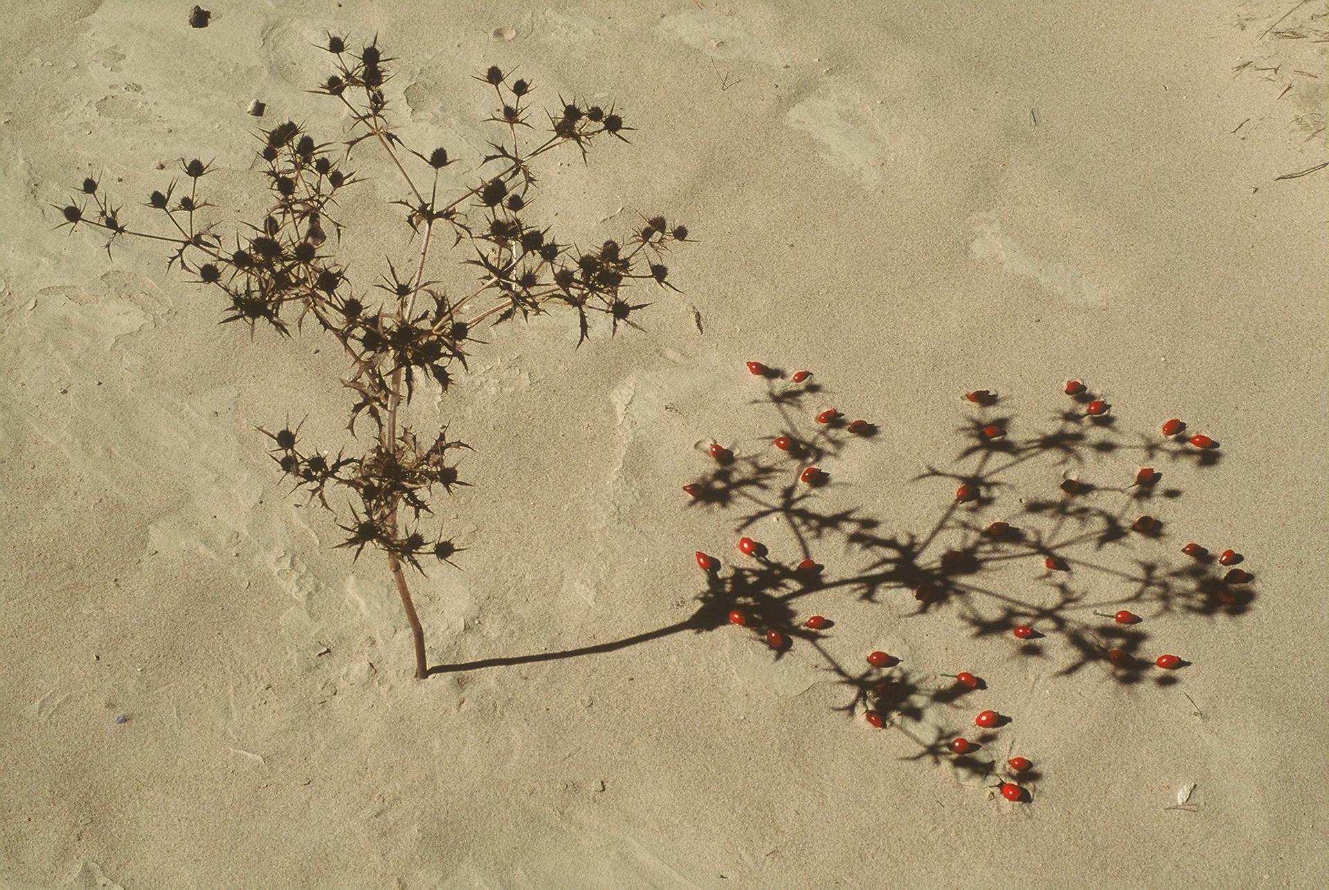 Landart Erde – Kunst-Raum-Natur