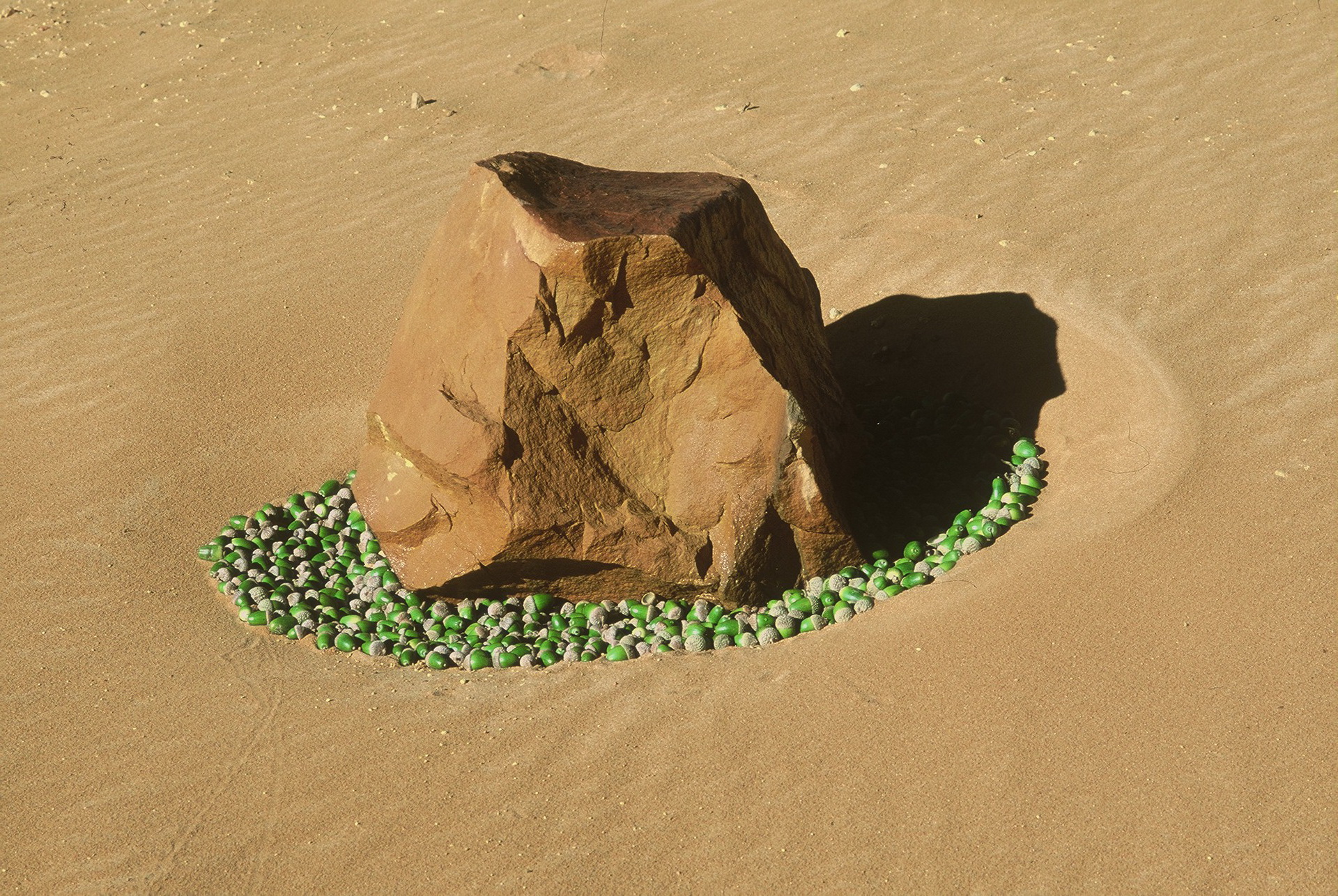 Landart Erde – Kunst-Raum-Natur