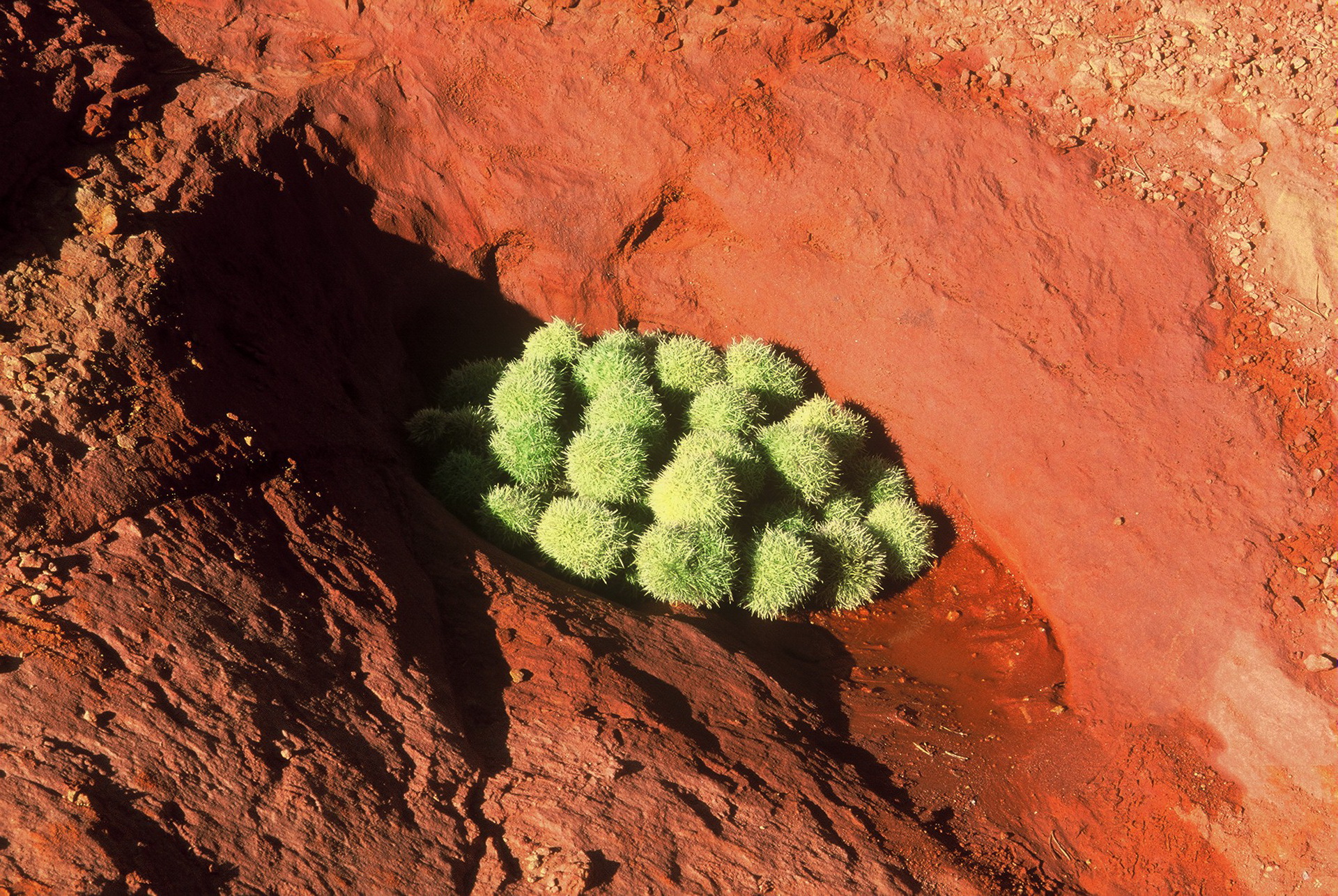 Landart Erde – Kunst-Raum-Natur